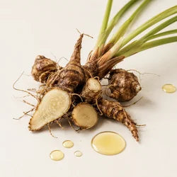 Rarelife Nivara Oil | Cyperus Rotundus